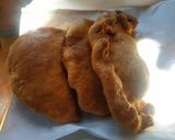 Foto del paso 10 de la receta: Empanadas de carne