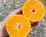 Foto del paso 6 de la receta: Cheesecake de yogur y mandarina 🍊 (sin horno!!)