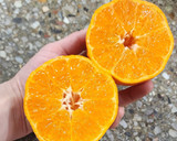 Foto del paso 6 de la receta: Cheesecake de yogur y mandarina 🍊 (sin horno!!)