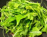 黑木耳炒龍鬚菜 / 家常菜的食譜步驟4照片