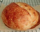 Foto langkah ke 24 dari resep Wijen Italian Herbs Cheese Sourdough Bread (Open Bake Method).