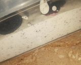 A picture of step 3 of Oreo ice cream.