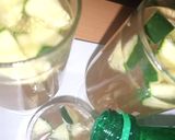 A picture of step 8 of Taragon moctail.