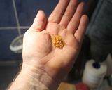 Foto del paso 7 de la receta: Moñitos del moño