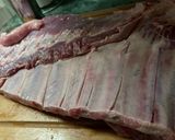 Foto del paso 1 de la receta: Costillar a la mostaza (parrilla) 🍖