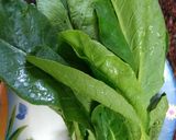 A picture of step 1 of Radish and coriander leaves chutney.