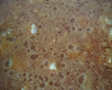 Foto del paso 3 de la receta: Arroz con rape, calamar y gambas