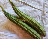 Foto langkah ke 2 dari resep 126. SERONDENG JAGONG KHAS KUTAI RESEP TURUN-TEMURUN.