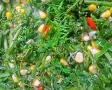 Foto langkah ke 3 dari resep Tumis pakis jagung manis.
