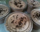 Foto langkah ke 4 dari resep Ice cream coklat "super ngirit".