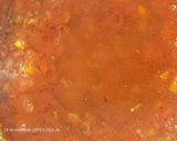 Foto del paso 1 de la receta: Calamarata en salsa de calamares