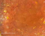 Foto del paso 1 de la receta: Calamarata en salsa de calamares
