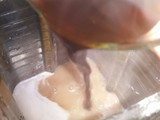 Falsa Marquesa de Café!