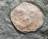 A picture of step 3 of Akki Roti.