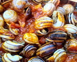 Foto del paso 3 de la receta: Caracoles en salsa de tomate y jamón serrano