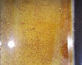 Foto del paso 1 de la receta: Salmón a las hierbas (principiantes)