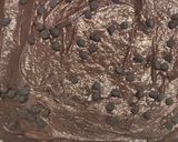 A picture of step 4 of Chocolate Overload Muffins.