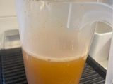 Crema de langostinos/gambón