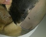 Foto del paso 2 de la receta: Lengua de Res en Salsa Roja