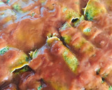 Foto del paso 3 de la receta: CANELONES DE 🥞PANQUEQUES 🥞 VERDES RELLENOS DE 🍖JAMÓN Y QUESO 🧀😋🤩👏