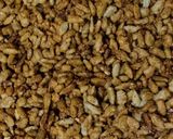 Foto del paso 4 de la receta: Garrapiñada de Semillas de Girasol