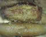 Foto langkah ke 5 dari resep Sanggara Balanda.