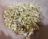 Foto langkah ke 2 dari resep Oseng Cambah Kedelai & Tempe.