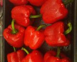 Foto del paso 1 de la receta Pimientos asados naturales