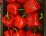 Foto del paso 1 de la receta: Pimientos asados naturales