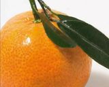 Une image de l'étape 7 de Jus detox clémentine🍊 miel🍯 gingembre.