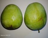 Foto langkah ke 1 dari resep Asinan Mangga Muda.