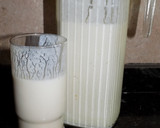 Foto del paso 16 de la receta: Yogurt casero