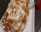 Une image de l'étape 7 de Bûche glacée au Grand Marnier, façon omelette norvégienne.