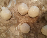 Foto del paso 4 de la receta: Buñuelos de vainilla crujientes
