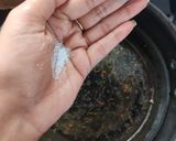 A picture of step 4 of KHIRISA / KHURISA.