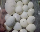 Foto langkah ke 1 dari resep Lodeh Cecek Telur Puyuh.