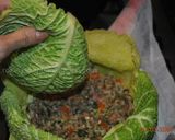 A picture of step 9 of Stuffed whole cabbage.