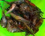 Foto langkah ke 1 dari resep Udang Goreng Bumbu Ketumbar.