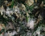 Foto del paso 3 de la receta Revuelto de espinacas con queso