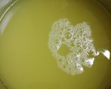 Foto del paso 2 de la receta: Chicha andina