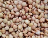 Foto del paso 2 de la receta: Tortillitas de lentejas para tacos o sanguchitos saludables, sin gluten, sin harina 🌱 un ing +	agua