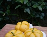 Foto langkah ke 2 dari resep Bakpao Labu Kuning isi Coklat.