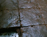 Foto del paso 7 de la receta: Brownie de cacao y calabacín (zucchini)