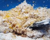 Foto del paso 3 de la receta: Galletas de Avena 🍪sin Manteca Livianas y Blanditas