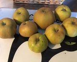 Une image de l'étape 1 de Clafoutis aux pommes et vanille à la farine de châtaigne corse.