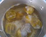 Foto del paso 2 de la receta: Jugo de lulo hervido