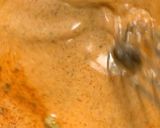 A picture of step 5 of Rohu Fish in tomato-mustard curry.
