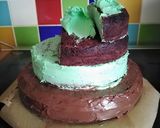 A picture of step 4 of Vickys Jungle Cake Decoration Idea.