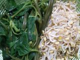 Plecing kangkung
