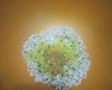 Foto langkah ke 1 dari resep Mie TtS (Tahu telur Sosis).